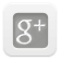 Google Plus
