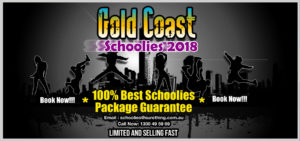 Schoolies Week Gold Coast 2018